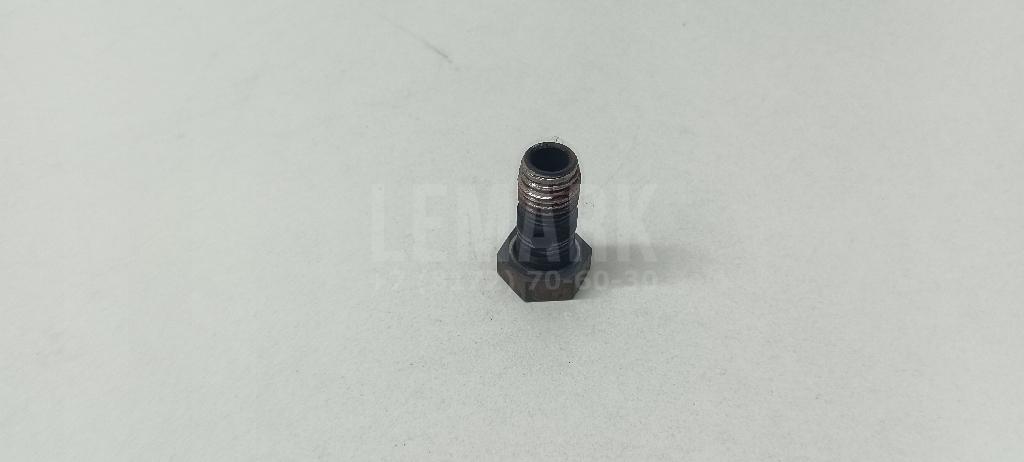 Болт полый для  BMW 7-serie E65/E66 2001-2008