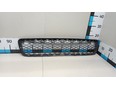 Решетка в бампер центральная