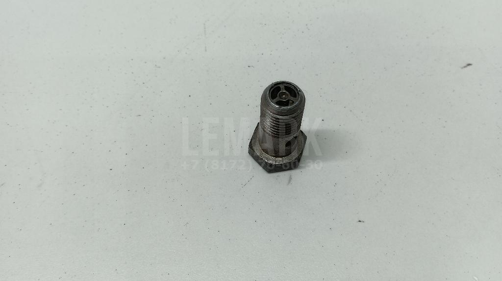 Болт полый для  BMW X7 G07 2018
