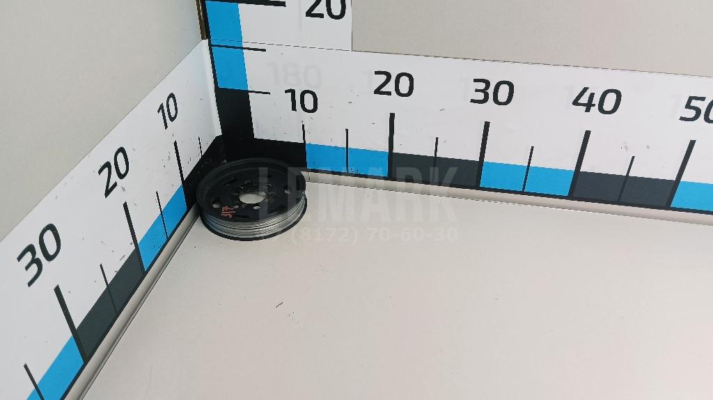 Шкив насоса гидроусилителя 038145255B VAG
