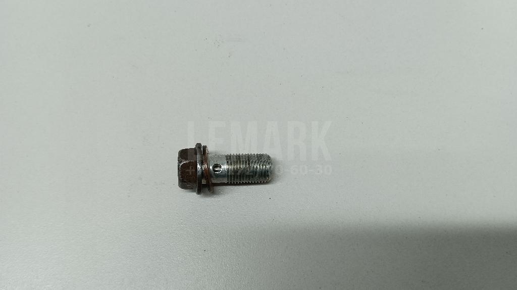 Болт полый 463560E00A Nissan