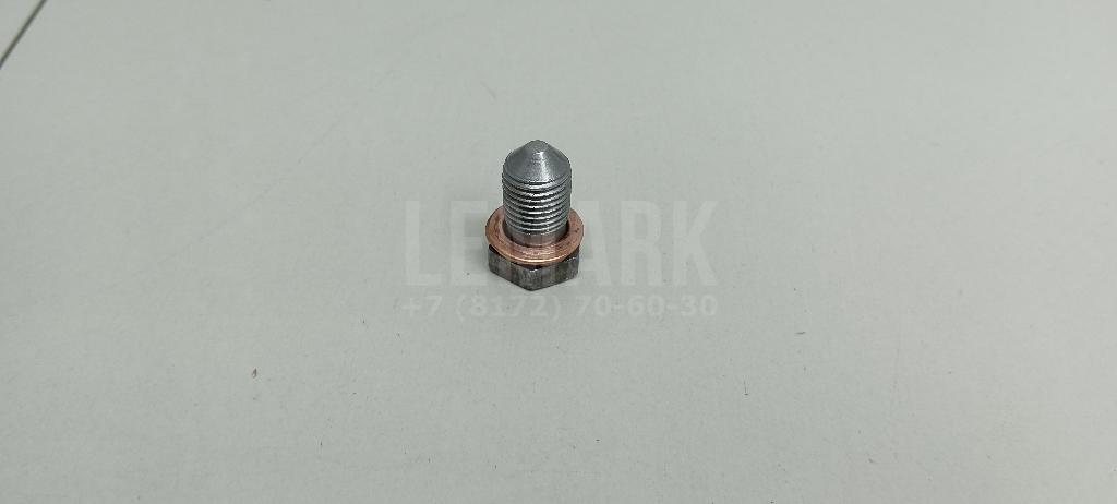 Пробка масляного поддона N90813202 VAG