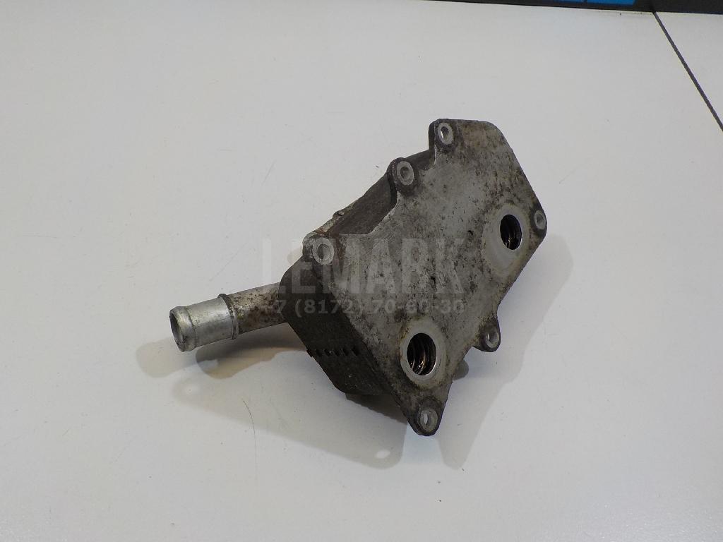Радиатор масляный 264102F020 Hyundai-Kia