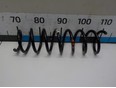 Пружина задняя