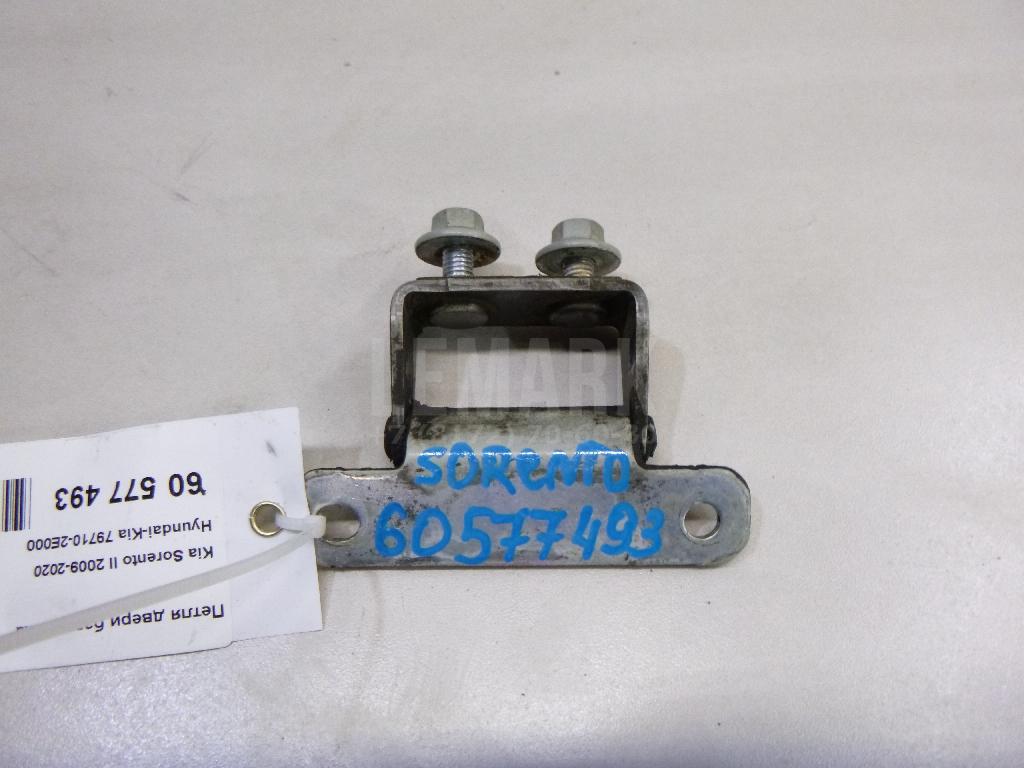 Петля двери багажника 797102E000 Hyundai-Kia