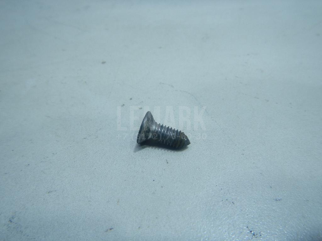 Винт N10648301 VAG