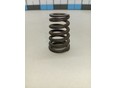 Пружина клапана