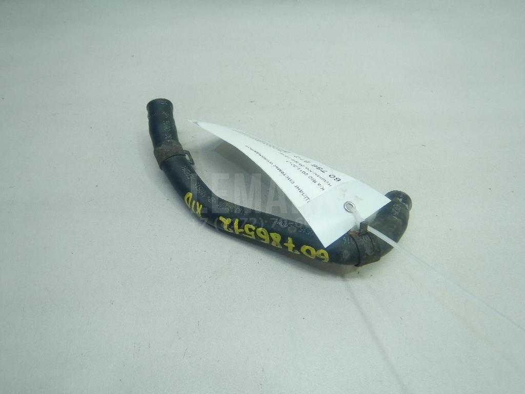 Шланг системы охлаждения 254682B050 Hyundai-Kia