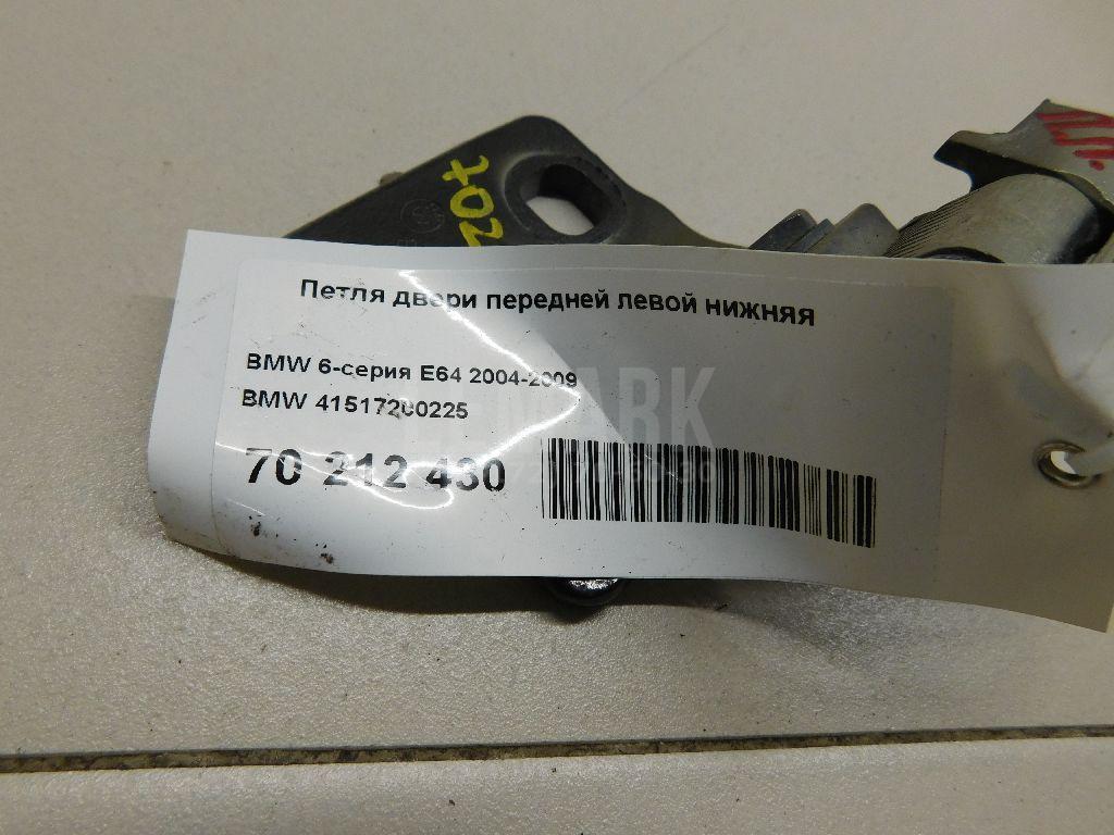 Петля двери передней левой нижняя