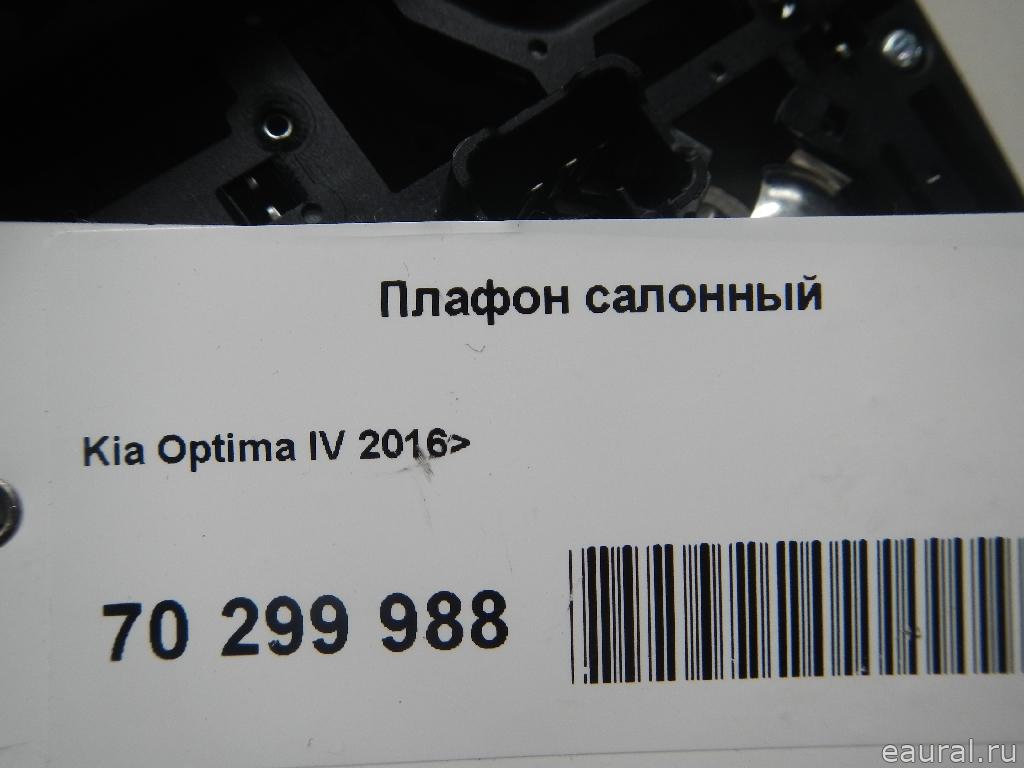 Плафон салонный