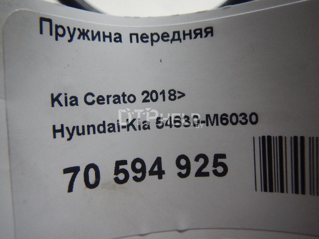 Фото Пружина передняя для Kia Cerato  2010