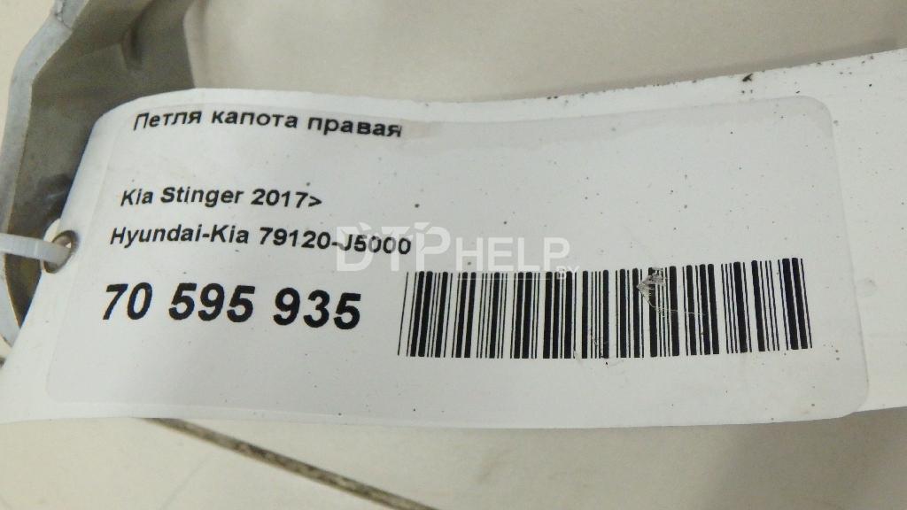 Фото Петля капота правая для Kia Stinger  2018