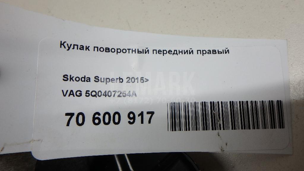 Кулак поворотный передний правый