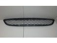 Решетка в бампер центральная
