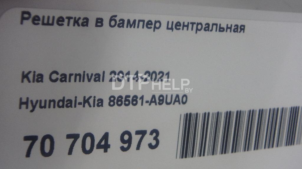 Фото Решетка в бампер центральная для Kia Carnival  2015