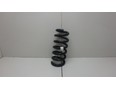 Пружина задняя