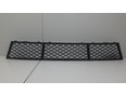 Решетка в бампер центральная