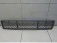 Решетка в бампер центральная