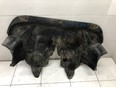 Пыльник двигателя центральный