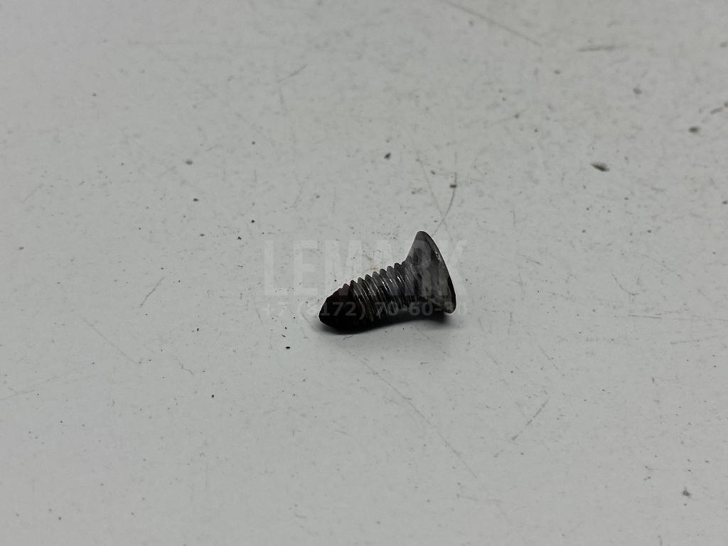 Винт N10648301 VAG