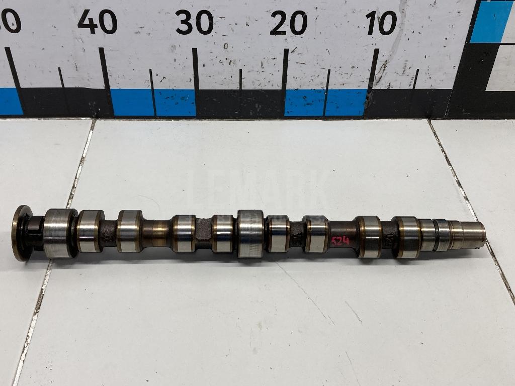 Распредвал впускной 036109101CG VAG