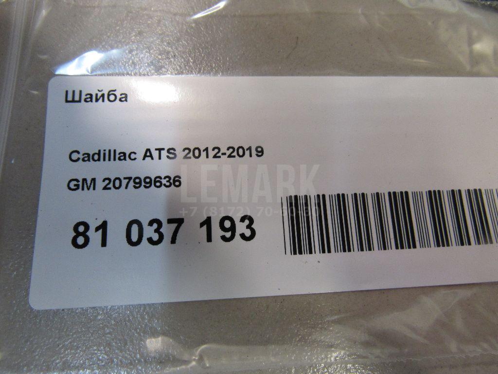 Шайба