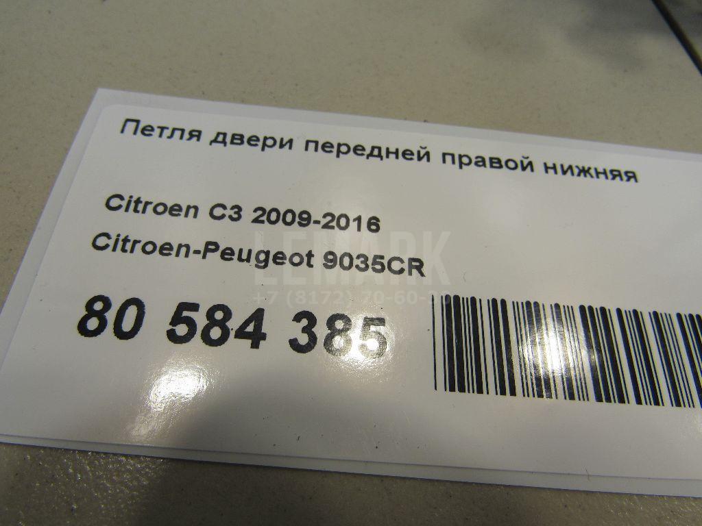 Петля двери передней правой нижняя