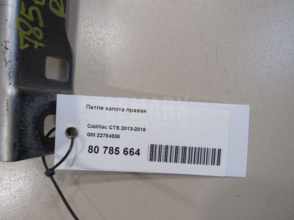 Петля капота правая для  Brilliance M2 2006-2012