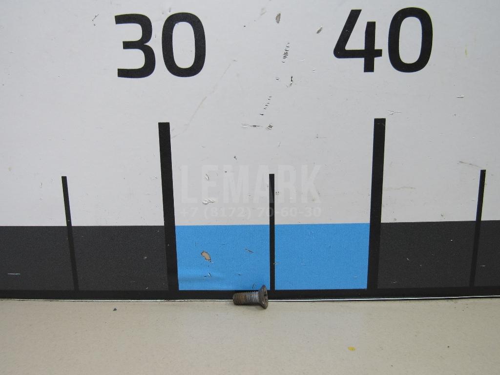Винт Q2580616T1FDE Great Wall