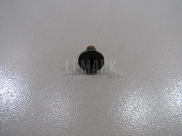 Болт крепления диска 7703004176 Renault