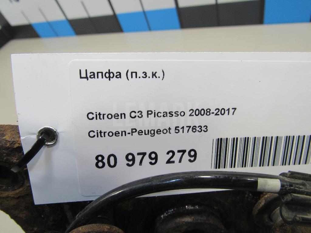 Цапфа (п.з.к.)