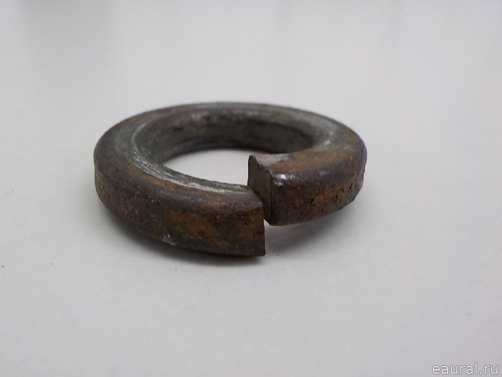 Шайба