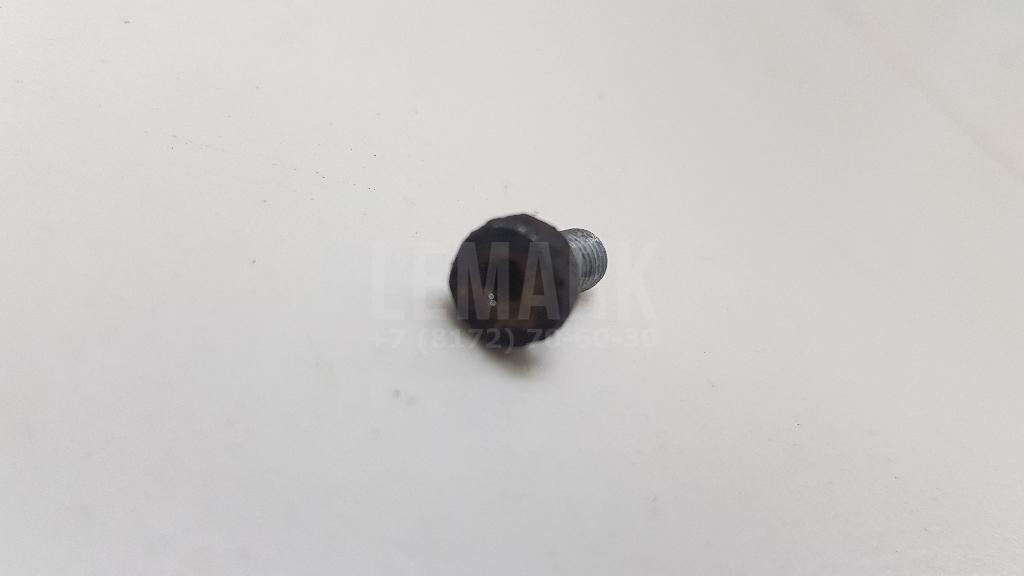 Винт N10434301 VAG