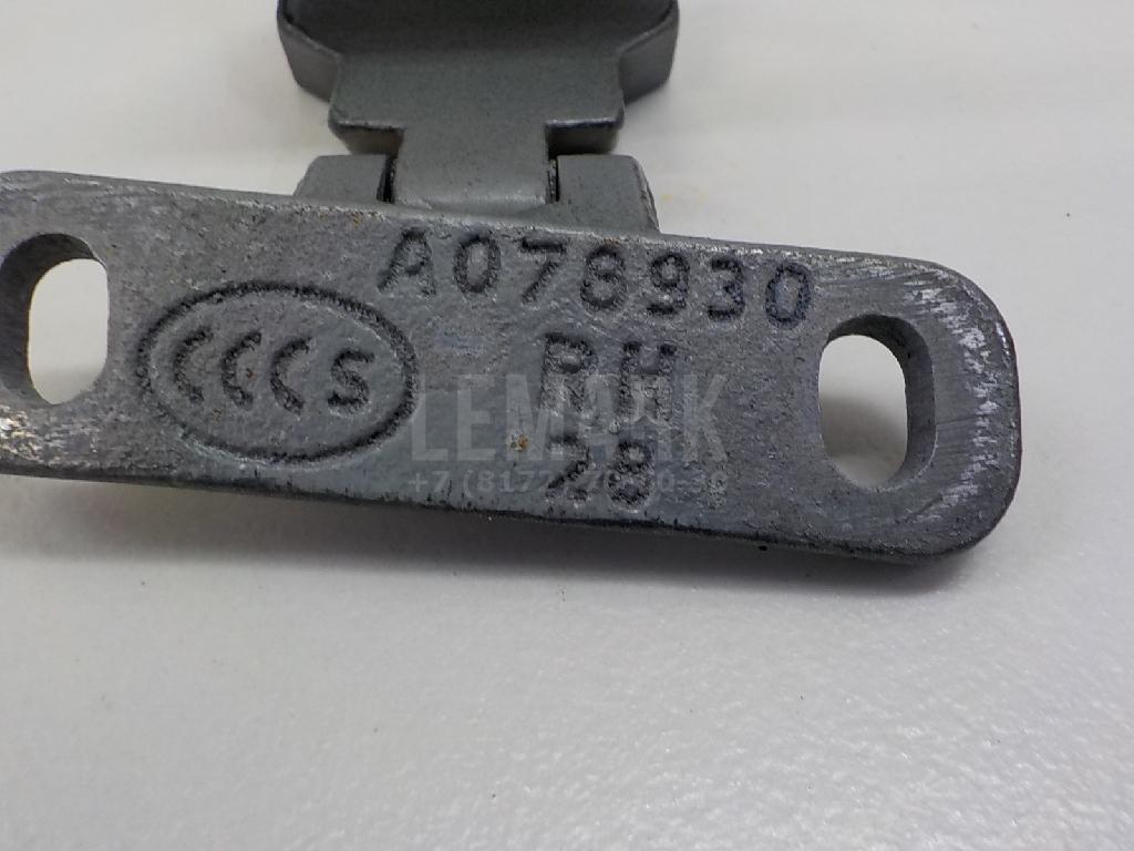 Петля двери багажника для  Audi 80/90 [B2] 0-1986