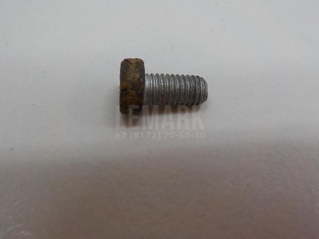Винт N10434301 VAG