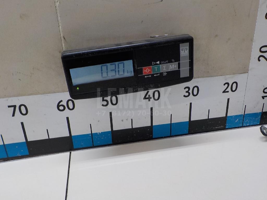Петля двери задней правой нижняя