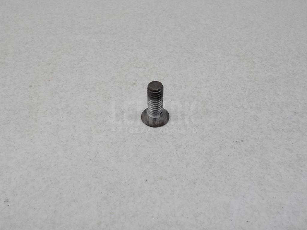 Винт Q2580616T1FDE Great Wall