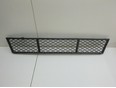 Решетка в бампер центральная