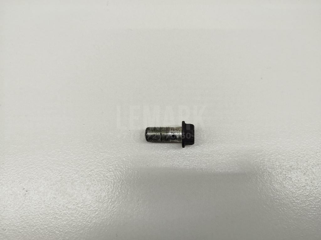 Болт полый 463560E00A Nissan