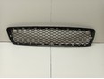 Решетка в бампер центральная