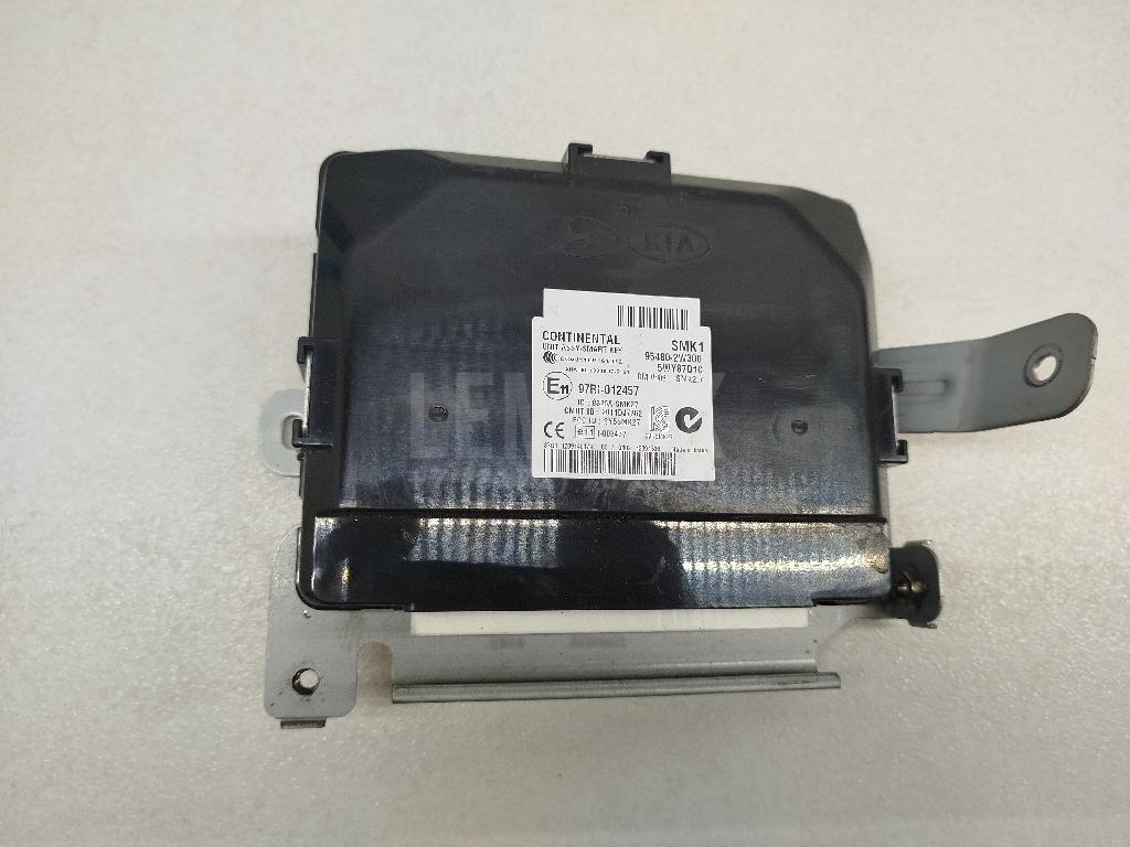 Блок управления центральным замком 954802W300 Hyundai-Kia