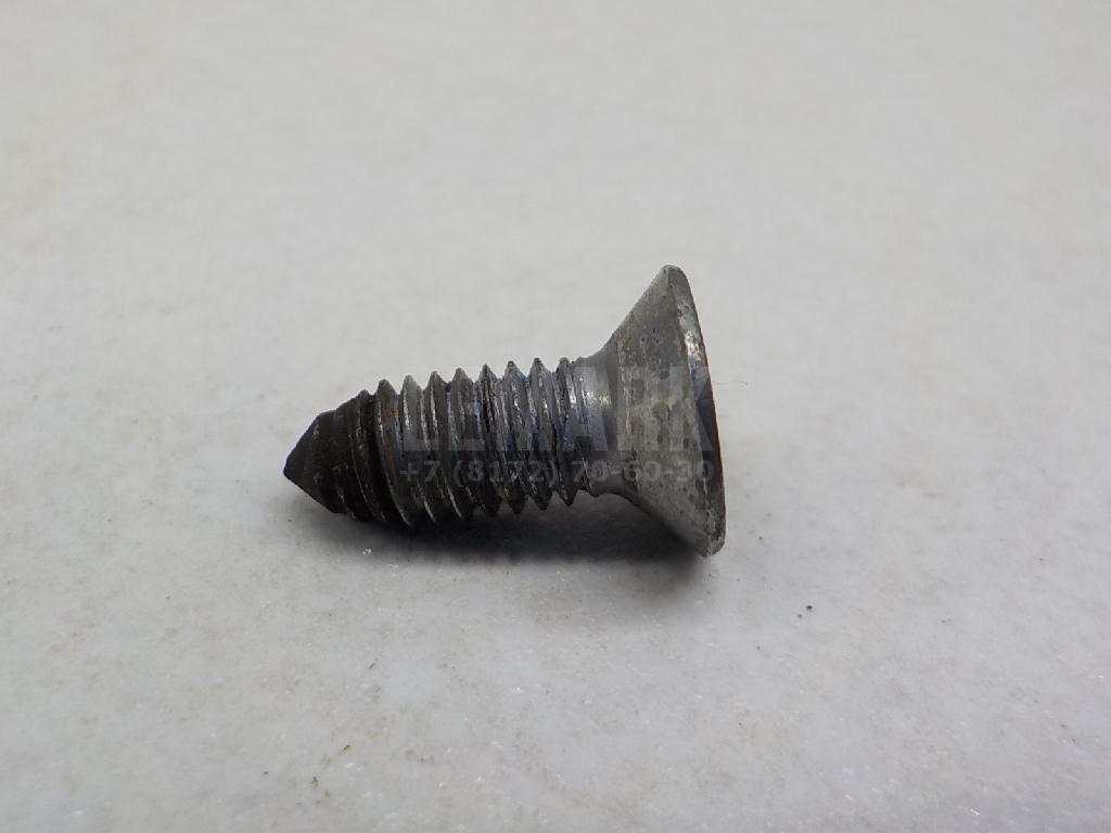 Винт N10648301 VAG
