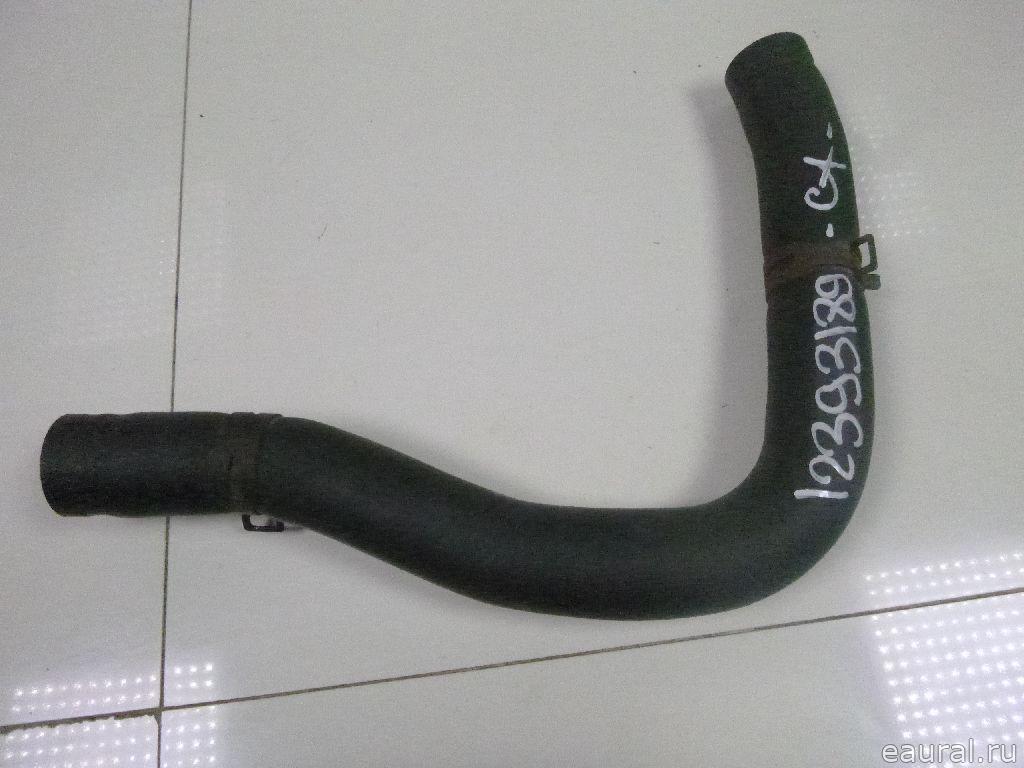 Патрубок радиатора