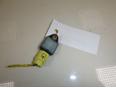 Датчик AIR BAG