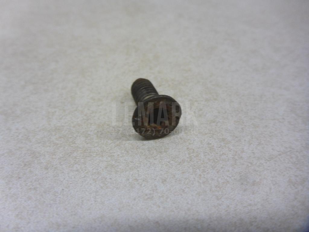 Винт N10648301 VAG