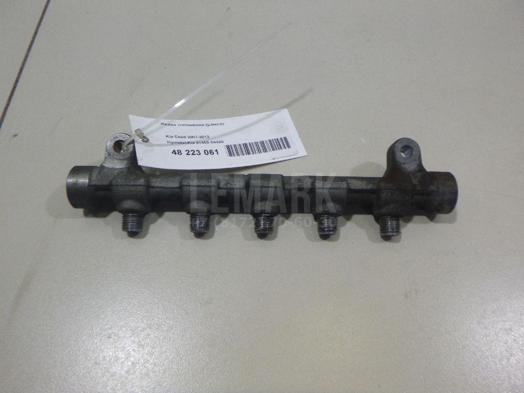 Рейка топливная (рампа) 314002A420 Hyundai-Kia