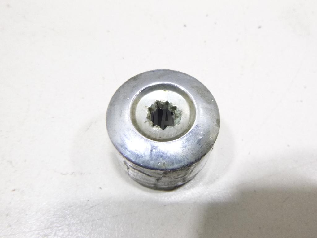 Колпачок колёсного болта 7L6601173A VAG