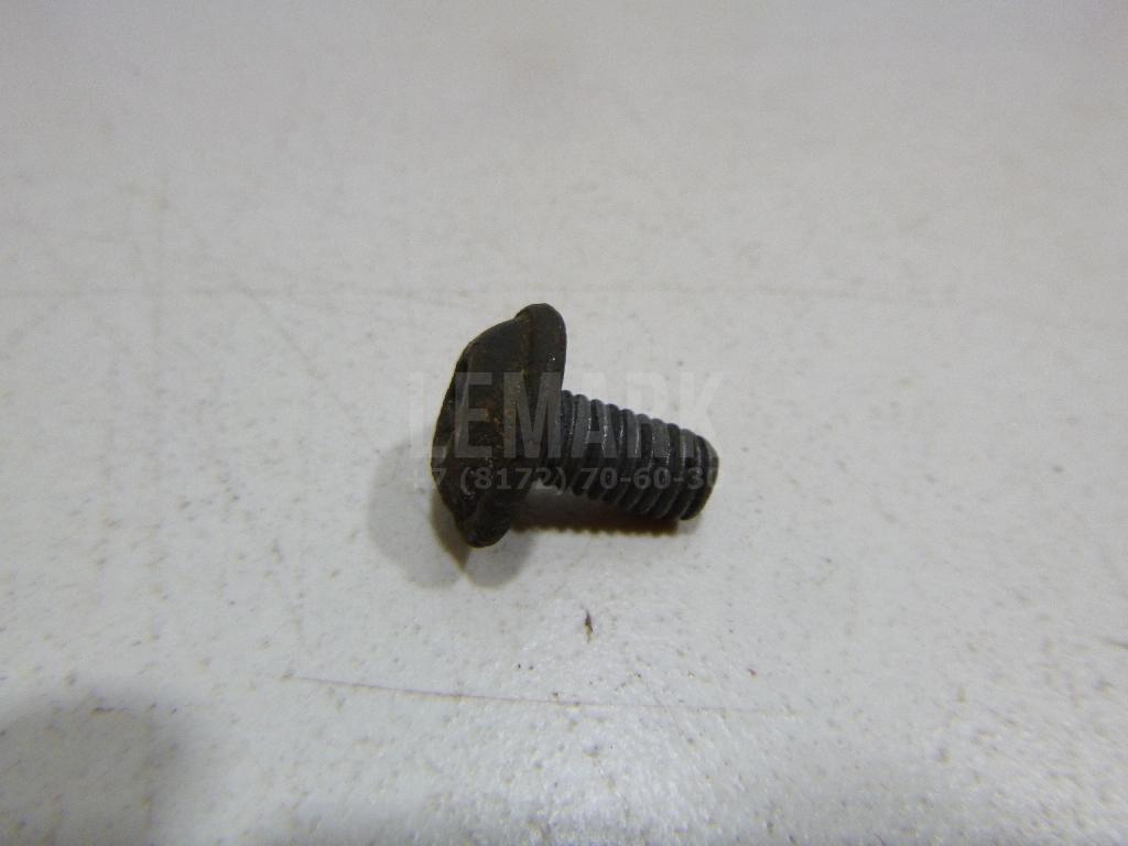 Винт N10648301 VAG