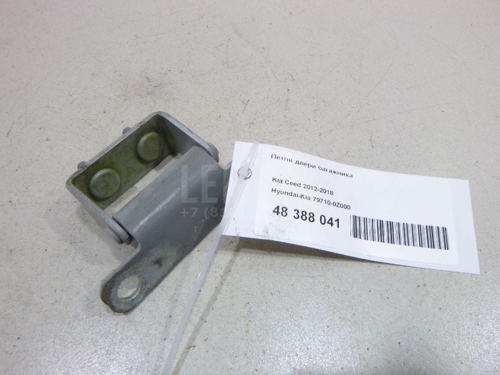 Петля двери багажника 797100Z000 Hyundai-Kia