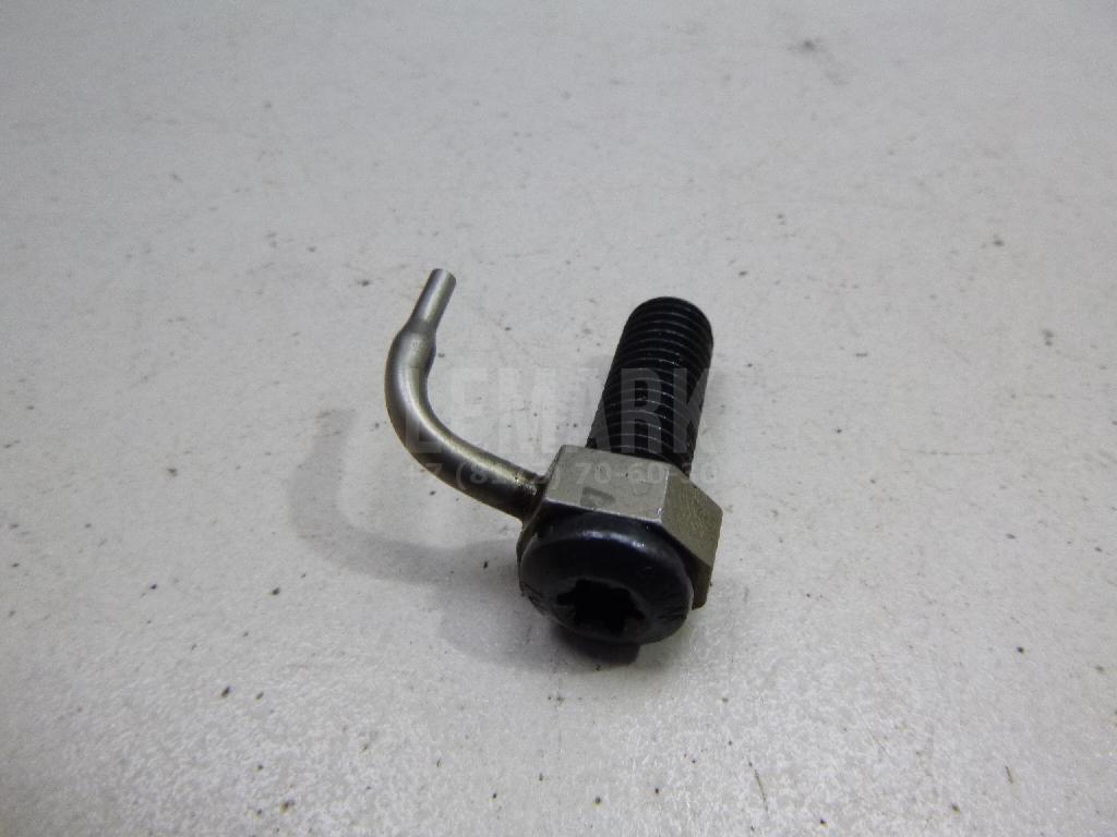 Форсунка масляная 06L103154G VAG